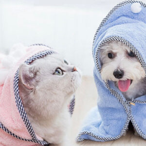 Pet bathrobe