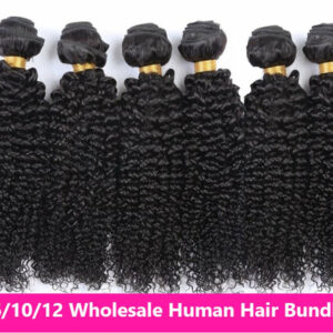 Wholesale 5/6/10/12 Bundles Brazilian Kinky Curly 10A Grade Human Hair