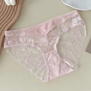 Lingerie Mesh Lace Flower Panties Transparent Low Waist Lace Briefs Breathable French Style Briefs Lady