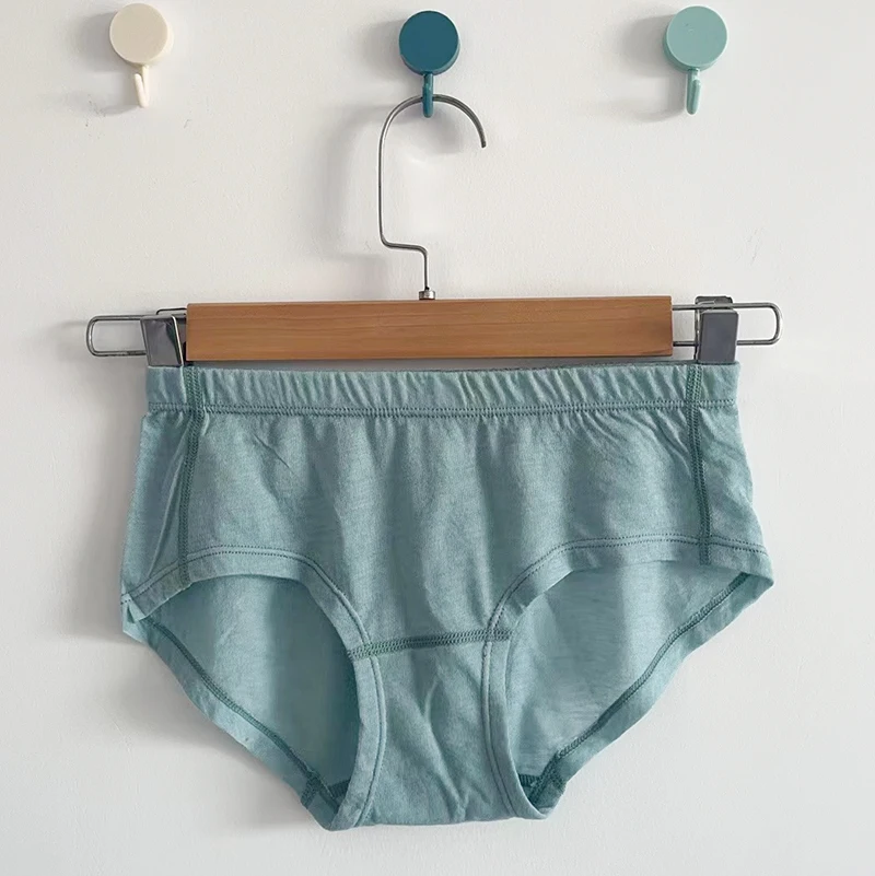 Women's Merino Wool Bamboo fiber Brief Women's Lightweight Bikini Brief Odor Resistance Breathable Moisture - Image 4