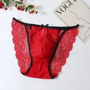Lace Mesh Bikini See Through Sexy Men Briefs Convex Pouch Breathable Gay Underpants Sissy Low Waist Panties Erotic lingerie