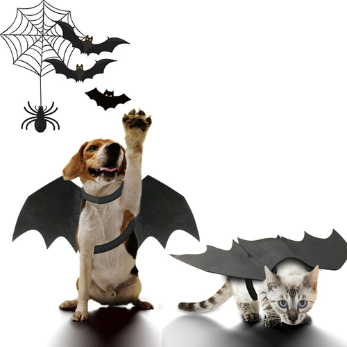 Halloween Pet Bat Wings Costume Cat and Dogs - Image 3