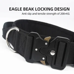 Dogs Harness Everything Pet Accessories Dog Leashes Collars Animals Supplies Leash Large So Pets Medium French Bulldog Flexi Set